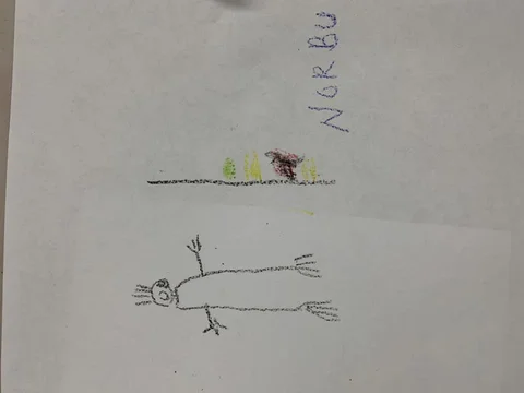 Norbu's Father — crayon drawing by Norbu, 81 yrs old