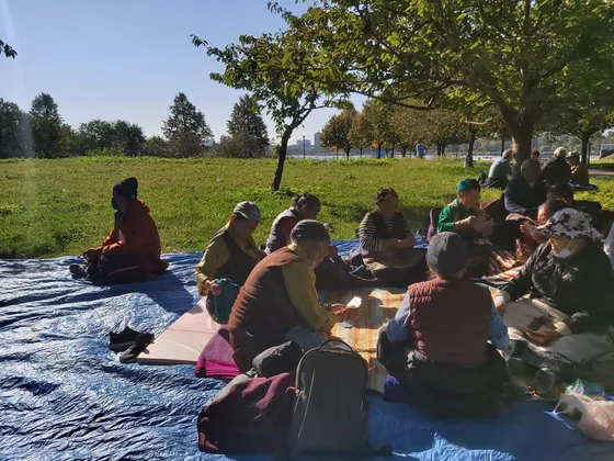 Elders meditating together at a park picnic