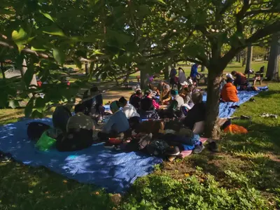 Elders enjoying a park picnic